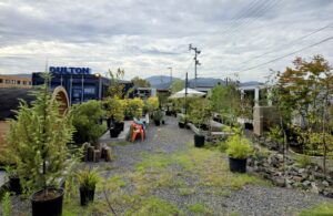 数々の植物を揃えた松前町のグリーンショップ　Bloom GARDEN