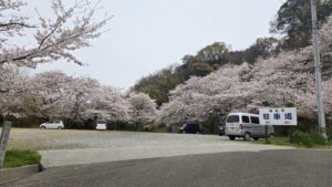 おすすめのお花見スポット情報　愛媛の工務店エフディホーム