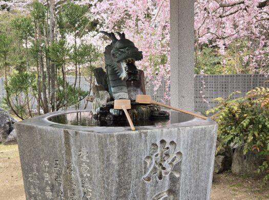 しだれ桜と手水舎
